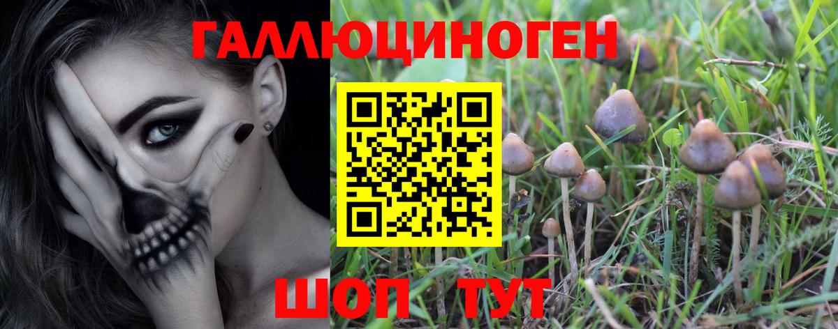 Владивосток  Псилоцибиновые грибы мицелий  Вход с VPN 